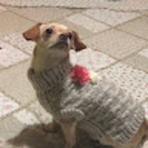 Meet your Posher, Isabella